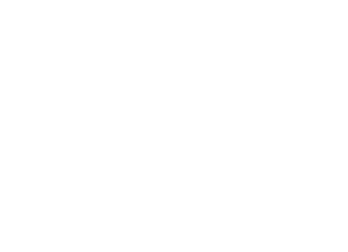 AyLex Legal Solutions